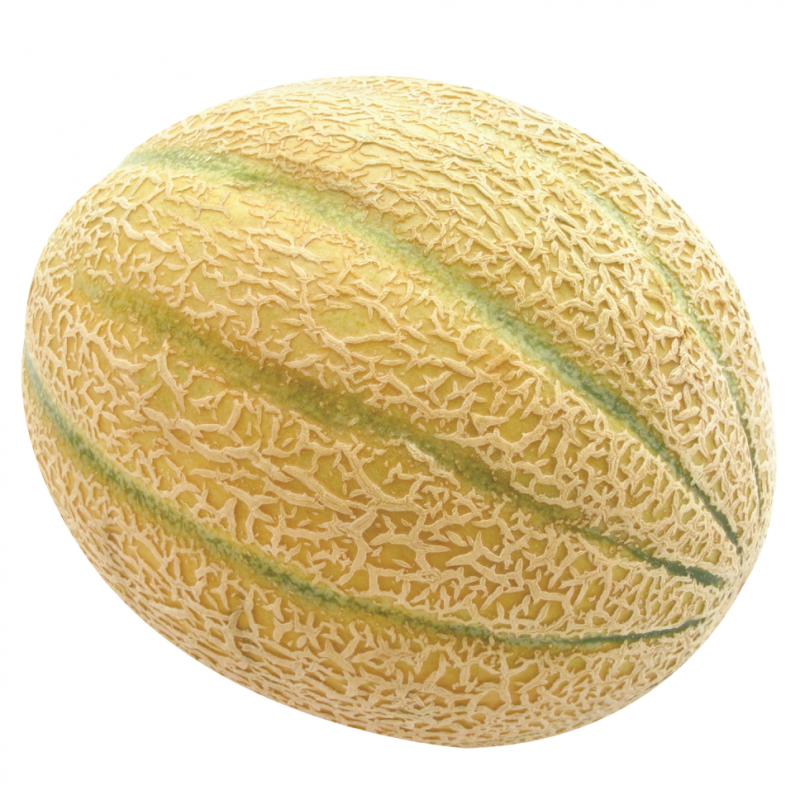 Melón CantaloupeUND