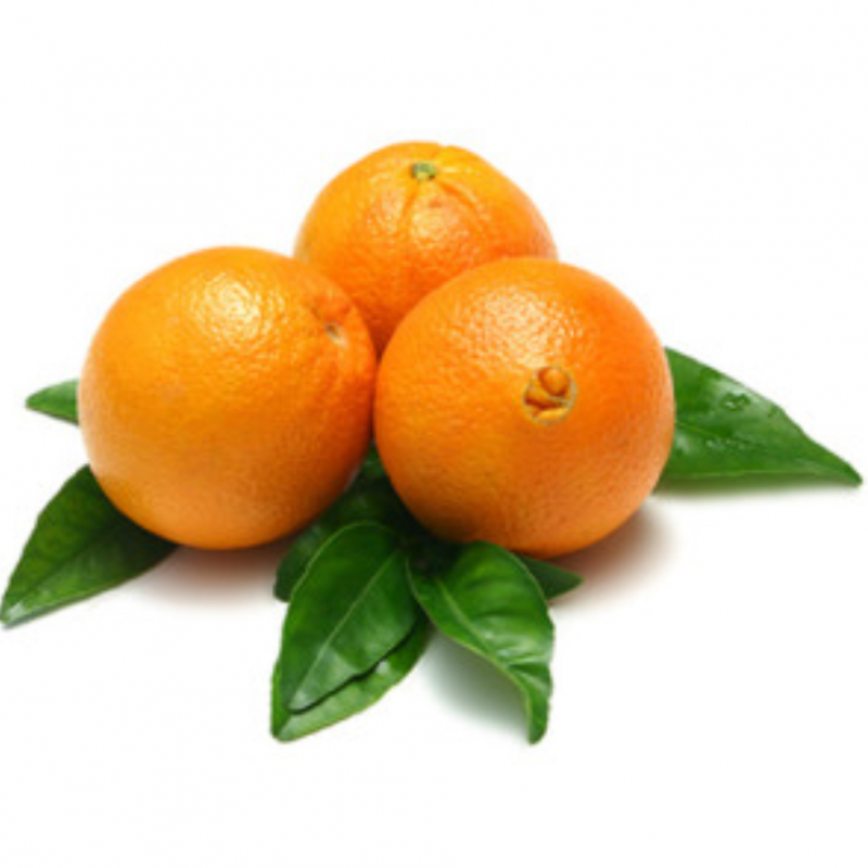 Naranjas Navel ImportadasLB