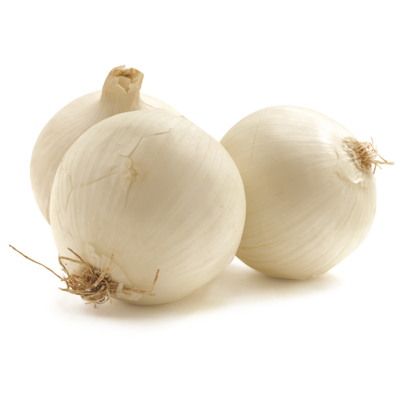 Cebolla Blanca ColosalLB