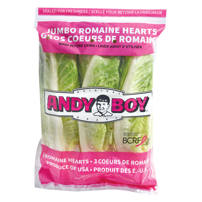 Lechuga Romana Andy Boy HeartsPAQ