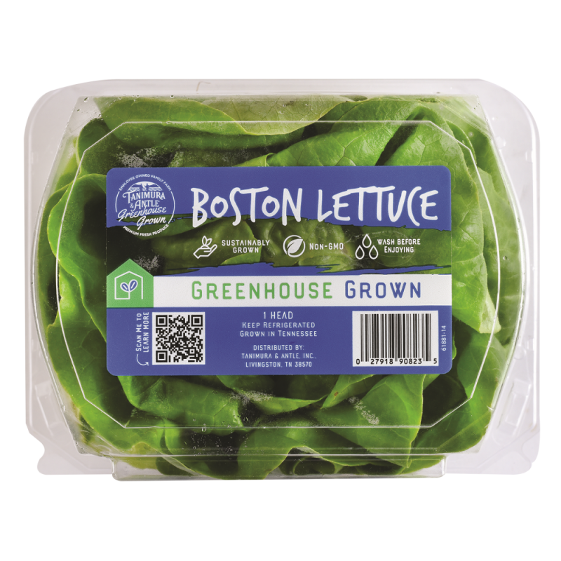 Lechuga Hidroponica Importada (Lettuce Hydro Bibb)PAQ