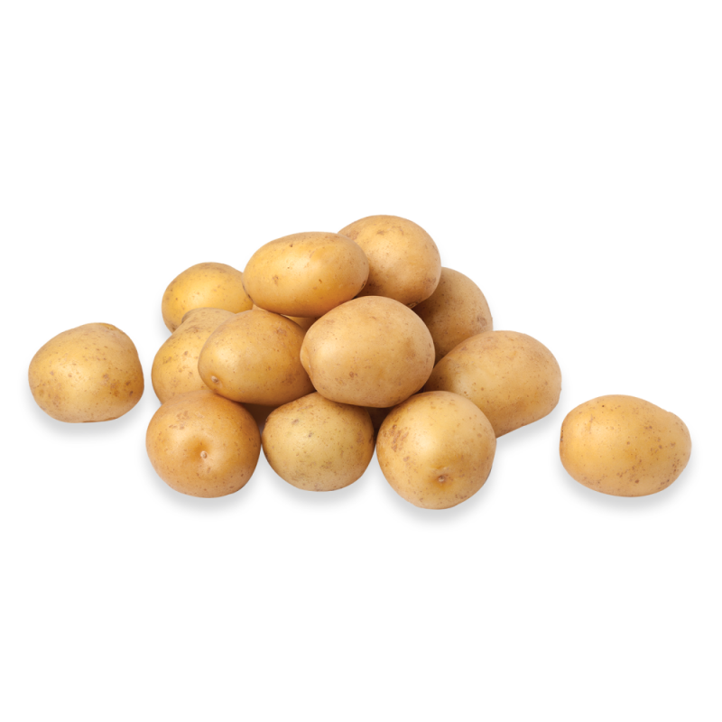 Papa Petite Malla1 LB