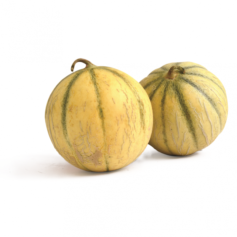 Melón Charentais AmarilloUND