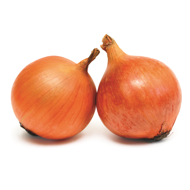 Cebolla Colosal AmarillaLB