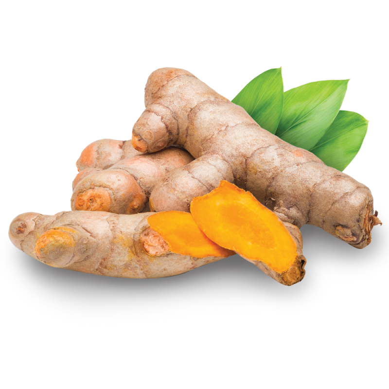 Curcuma FrescaLB