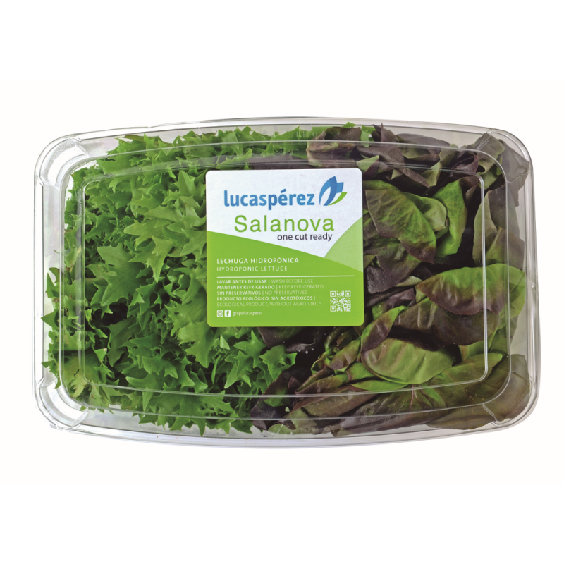 Salanova Lucas Perez ClamshellsPAQ