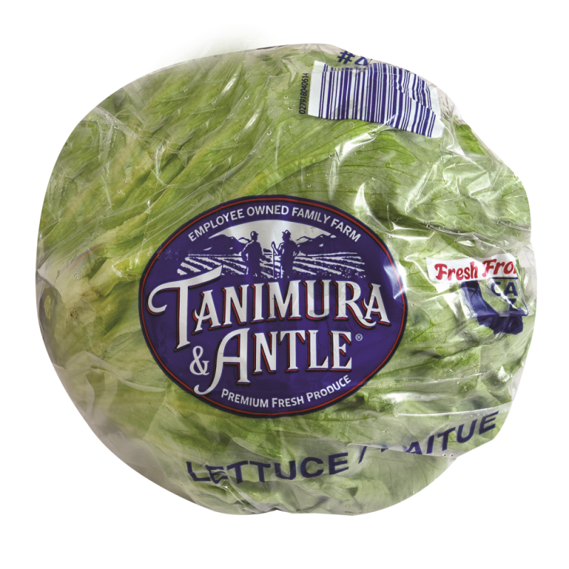 Lechuga Repollada ImportadaPAQ