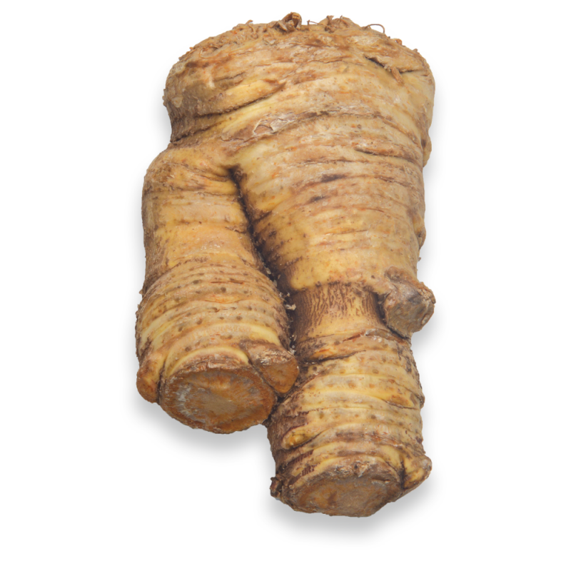 Cepa De Apio FrescaLB