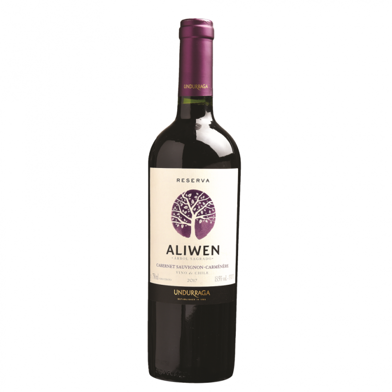 Vino Tinto Aliwen Cabernet Syrah0.75 LT