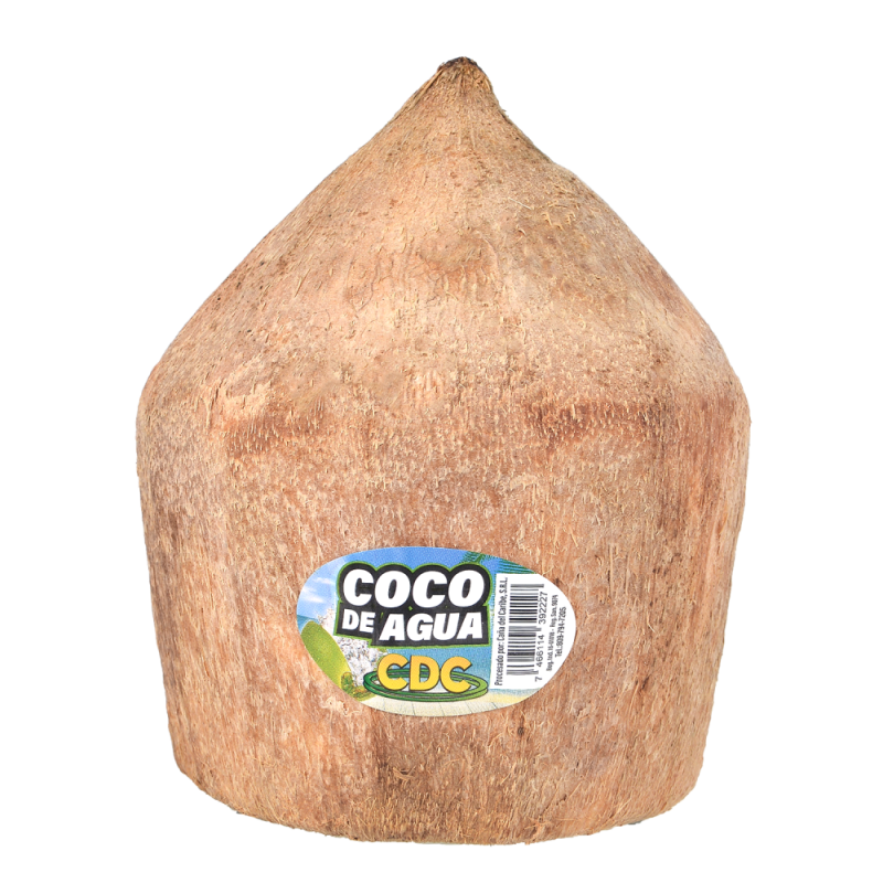 Coco De AguaUND