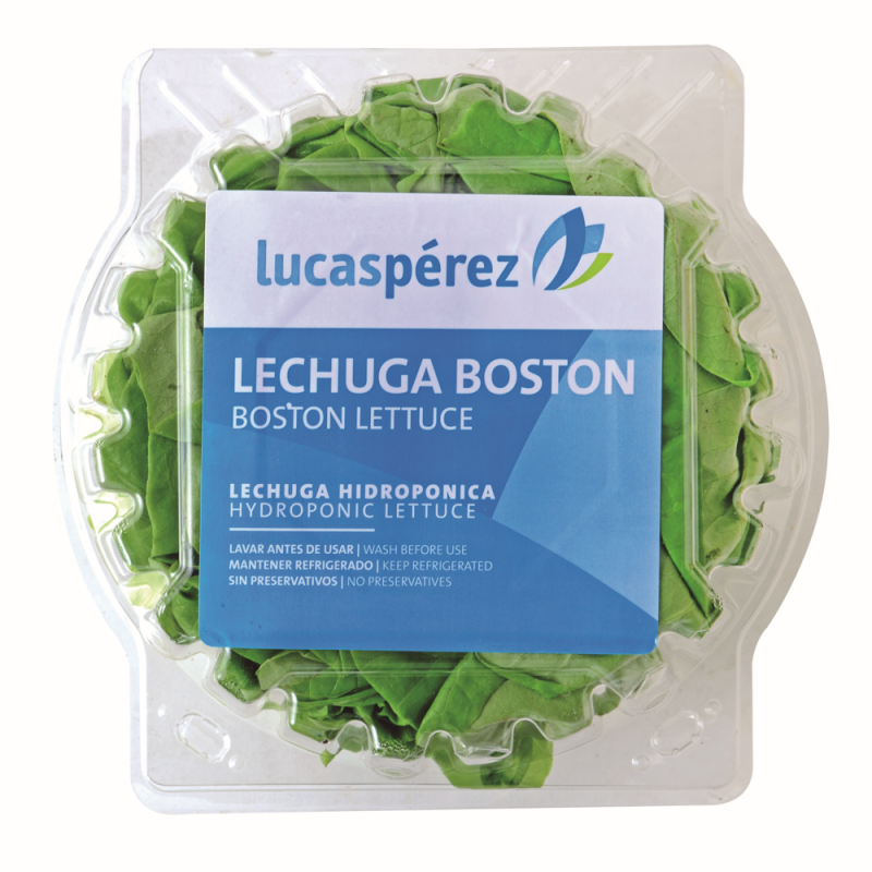 Lechuga Lucas Perez Boston Hidro ClamshellsPAQ