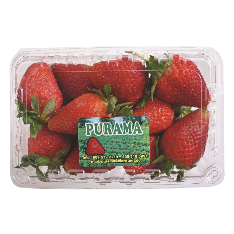 Purama Fresas Premium Paq1 LB