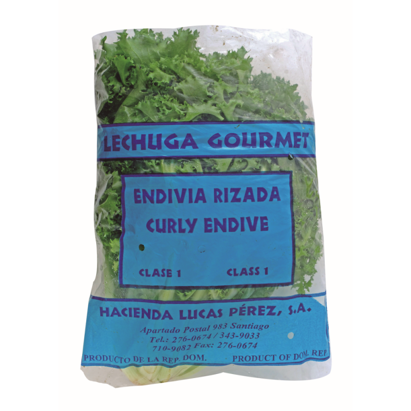 Endivia Lucas PerezPAQ