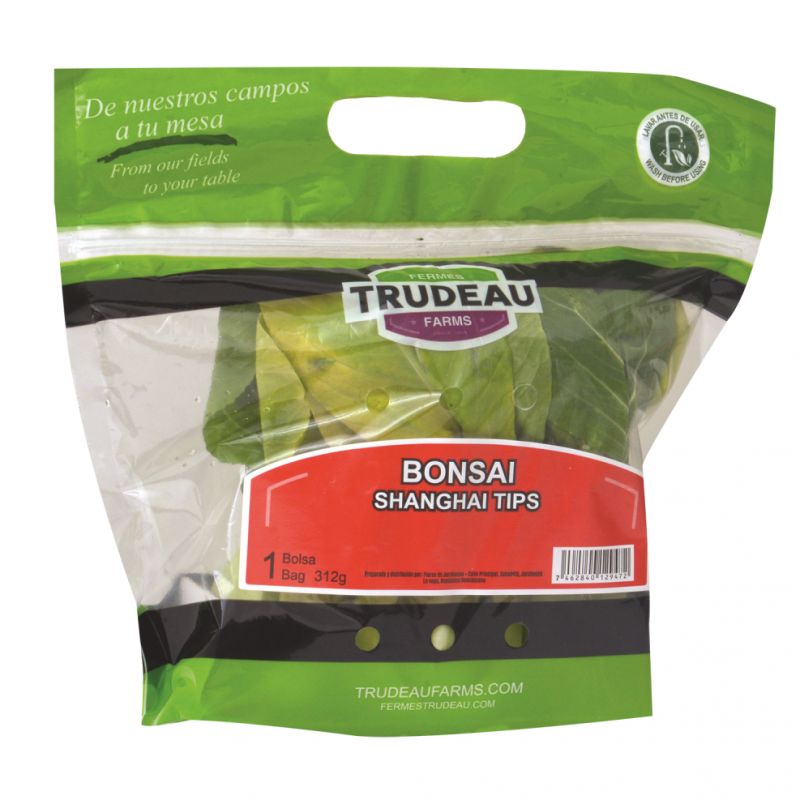 Bonsai Trudeau Bolsa312 GR