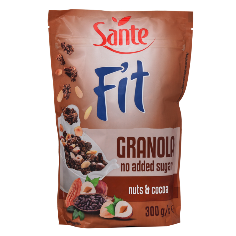 Granola Fit Chocolate Sante300 GR