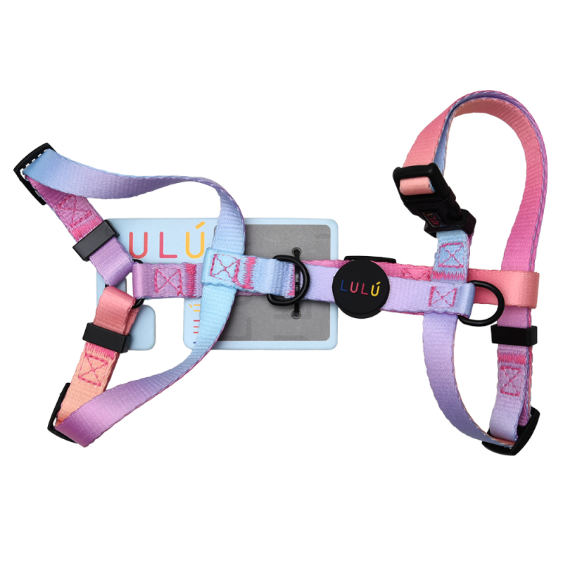 Pechera Lulu Degradado Rosa Small1 UND