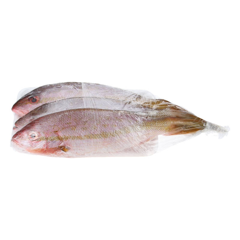 Chillo Criollo Entero X LB - Precio en RD | SupermercadosRD